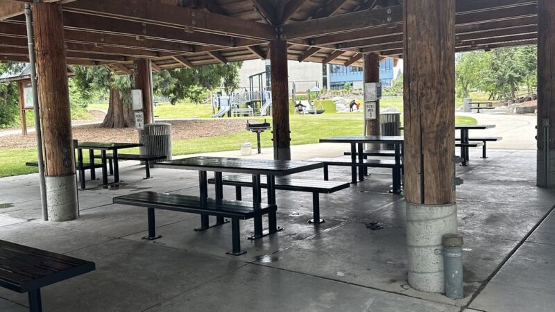 Morrill Meadows Park - Kent, WA