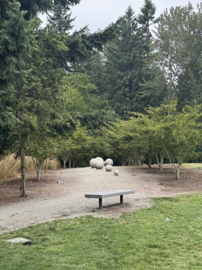 Morrill Meadows Park - Kent, WA