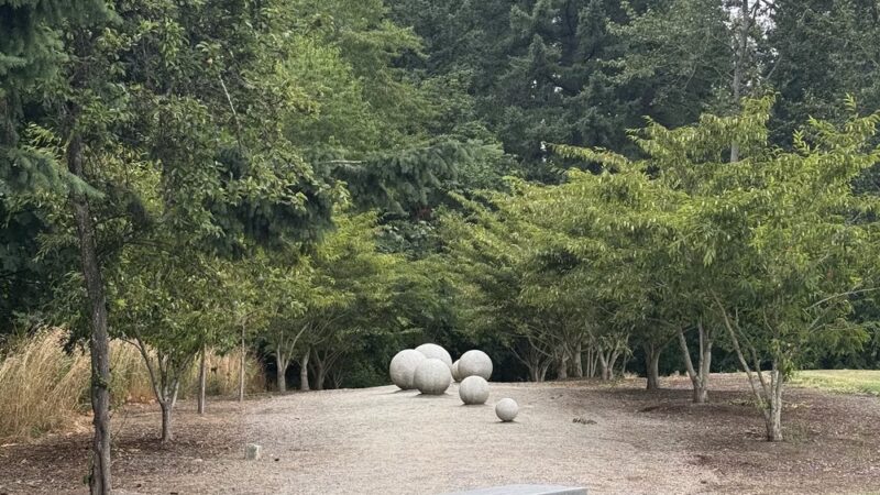 Morrill Meadows Park - Kent, WA