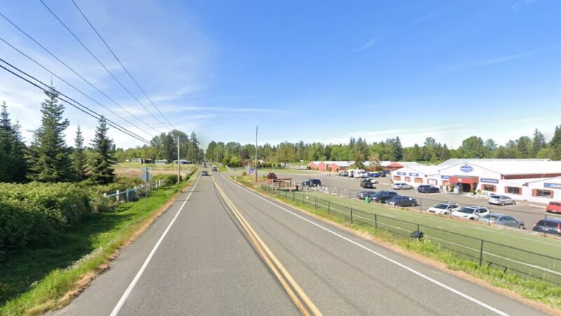 Reber Ranch Off Leash Dog Park - Kent, WA