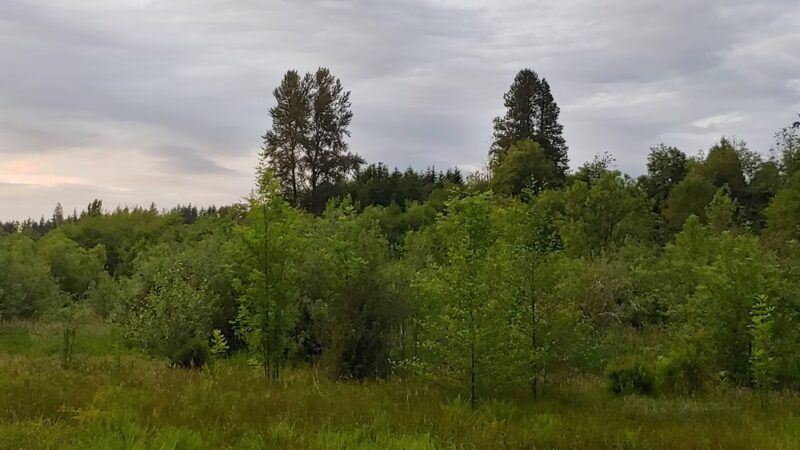 Soos Creek Park trailhead - Kent, WA
