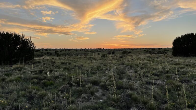 Black Mesa State Park & Nature Preserve - Kenton, OK