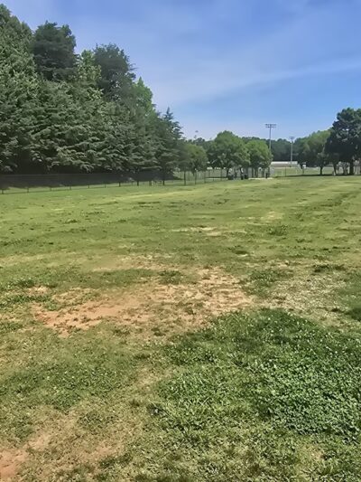 Ivey M. Redmon Dog Park - Kernersville, NC