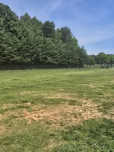 Ivey M. Redmon Dog Park - Kernersville, NC