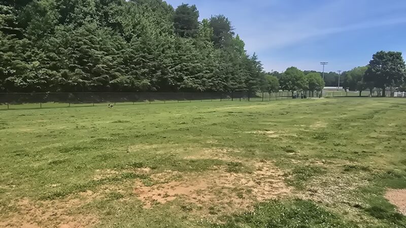 Ivey M. Redmon Dog Park - Kernersville, NC
