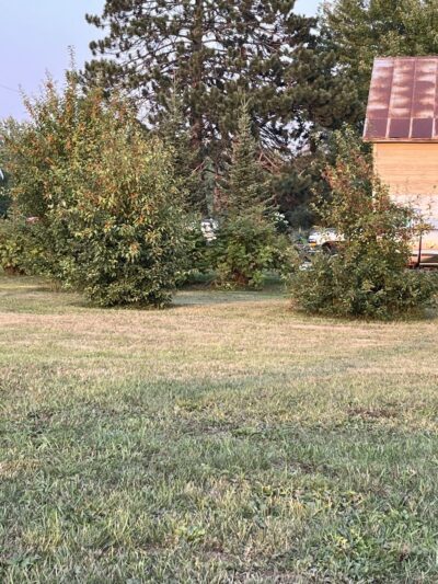 Kerrick Park - Kerrick, MN