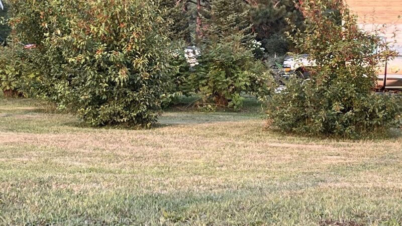 Kerrick Park - Kerrick, MN