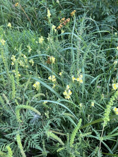 Kerrick Park - Kerrick, MN