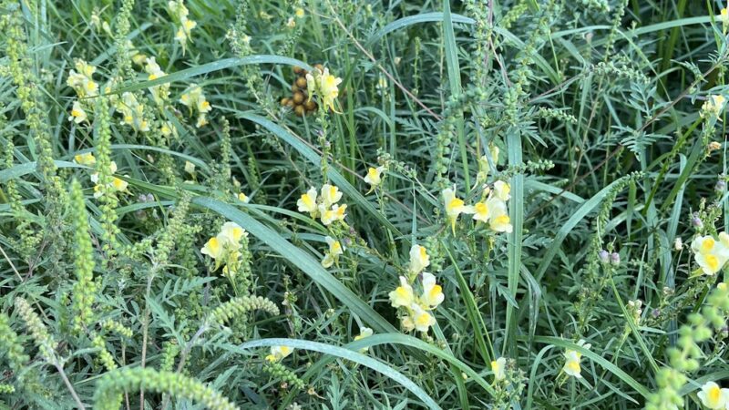 Kerrick Park - Kerrick, MN