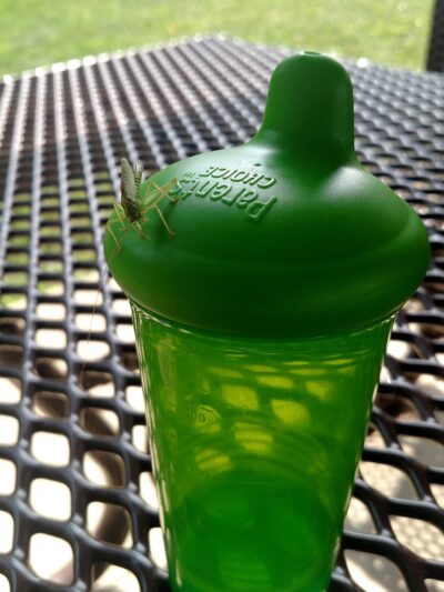 Main Street Park - Kersey, PA