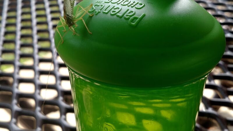 Main Street Park - Kersey, PA