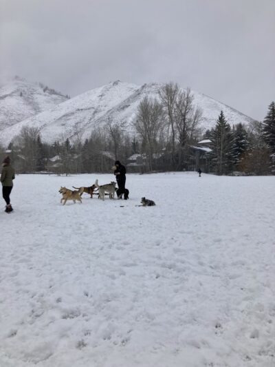 Warm Springs Preserve - Ketchum, ID