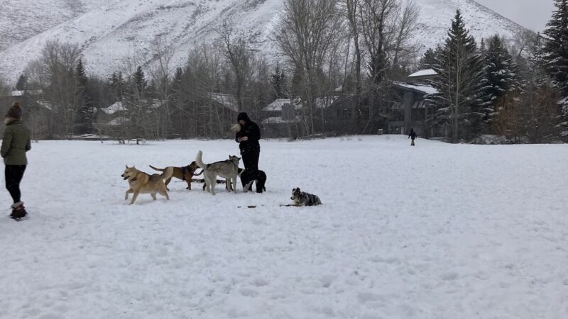 Warm Springs Preserve - Ketchum, ID