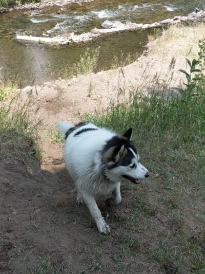Warm Springs Preserve - Ketchum, ID