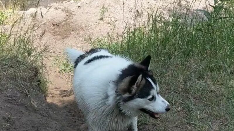 Warm Springs Preserve - Ketchum, ID