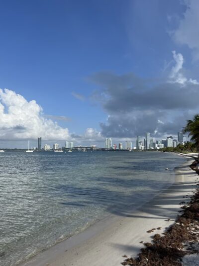 Biscayne Dog Friendly Beach - Key Biscayne, FL