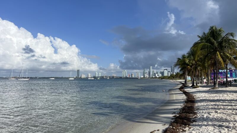 Biscayne Dog Friendly Beach - Key Biscayne, FL