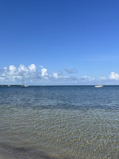 Biscayne Dog Friendly Beach - Key Biscayne, FL