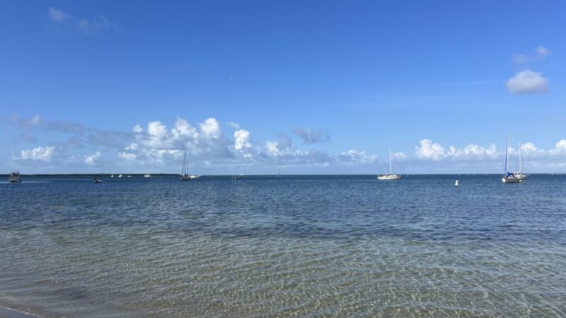 Biscayne Dog Friendly Beach - Key Biscayne, FL