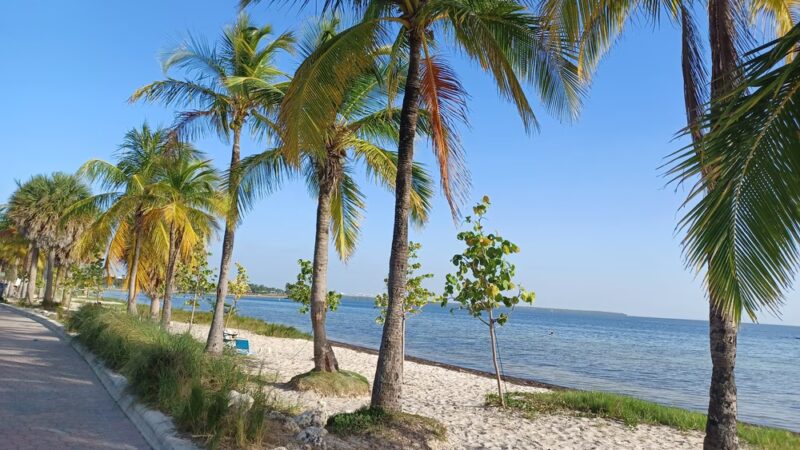 Biscayne Dog Friendly Beach - Key Biscayne, FL