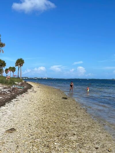 Biscayne Dog Friendly Beach - Key Biscayne, FL