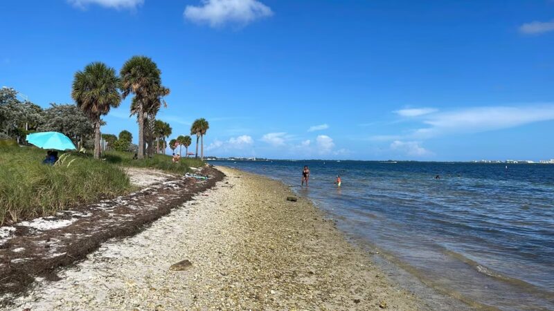 Biscayne Dog Friendly Beach - Key Biscayne, FL