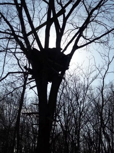 Ross Field - Keyport, NJ