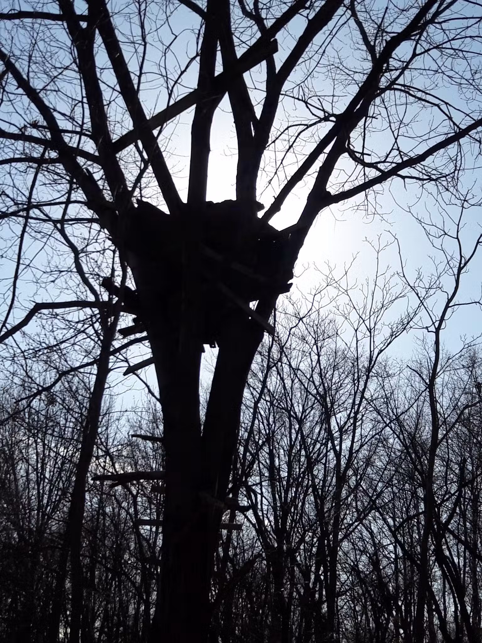 Ross Field - Keyport, NJ