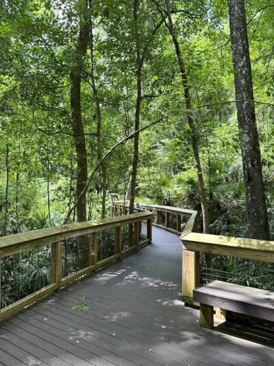 Mike Roess Gold Head Branch State Park - Keystone Heights, FL