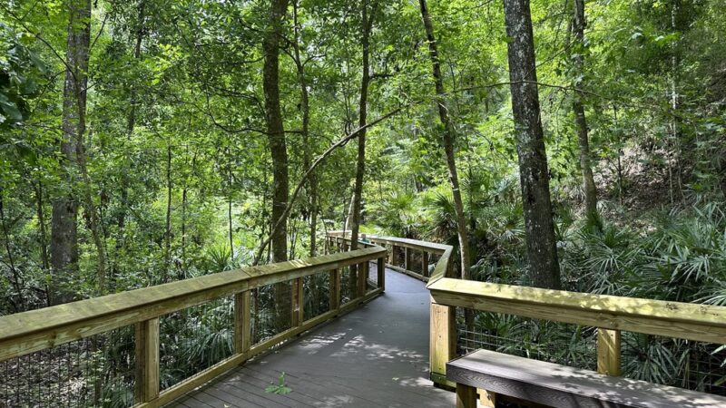 Mike Roess Gold Head Branch State Park - Keystone Heights, FL