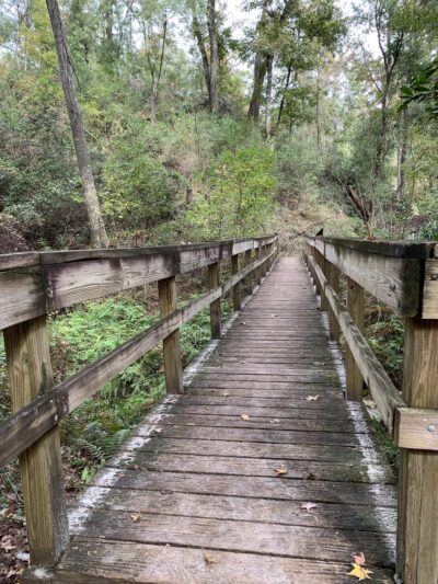 Mike Roess Gold Head Branch State Park - Keystone Heights, FL
