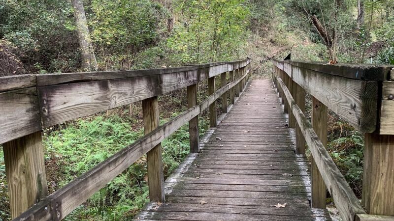 Mike Roess Gold Head Branch State Park - Keystone Heights, FL