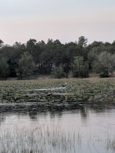 Mike Roess Gold Head Branch State Park - Keystone Heights, FL