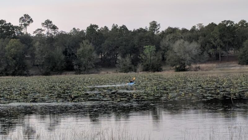 Mike Roess Gold Head Branch State Park - Keystone Heights, FL