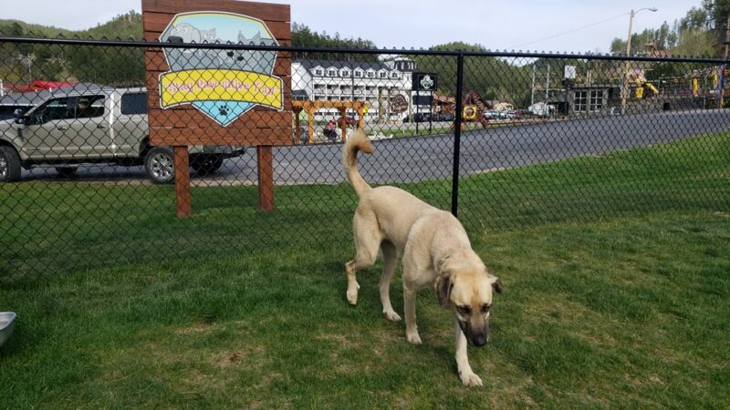 Mount Barkmore Dog Park - Keystone, SD