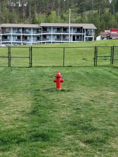 Mount Barkmore Dog Park - Keystone, SD