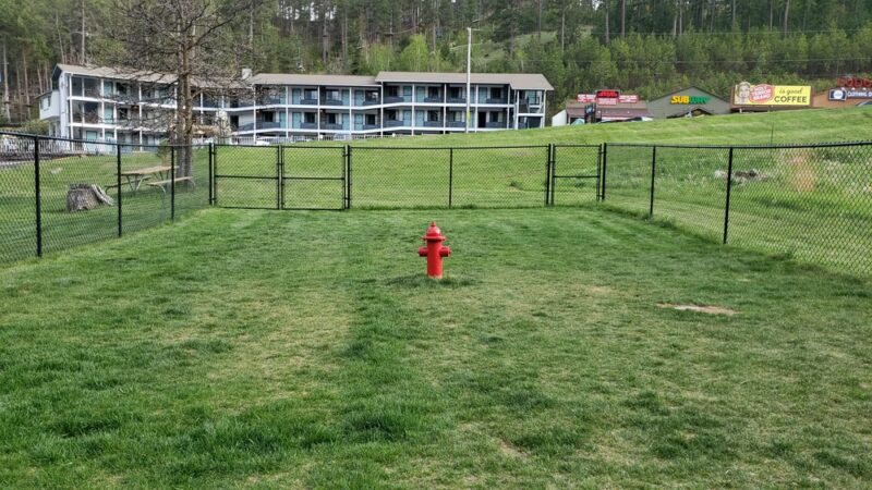 Mount Barkmore Dog Park - Keystone, SD