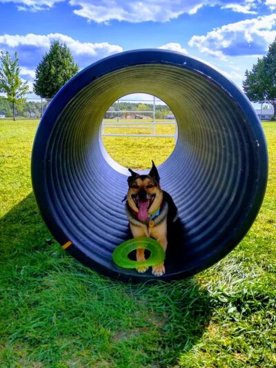 Thielman Bark Park - Kiel, WI