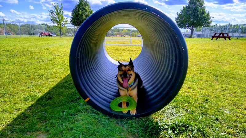 Thielman Bark Park - Kiel, WI