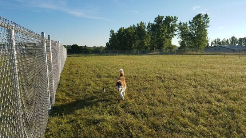 Thielman Bark Park - Kiel, WI