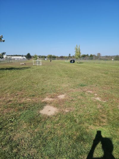 Thielman Bark Park - Kiel, WI
