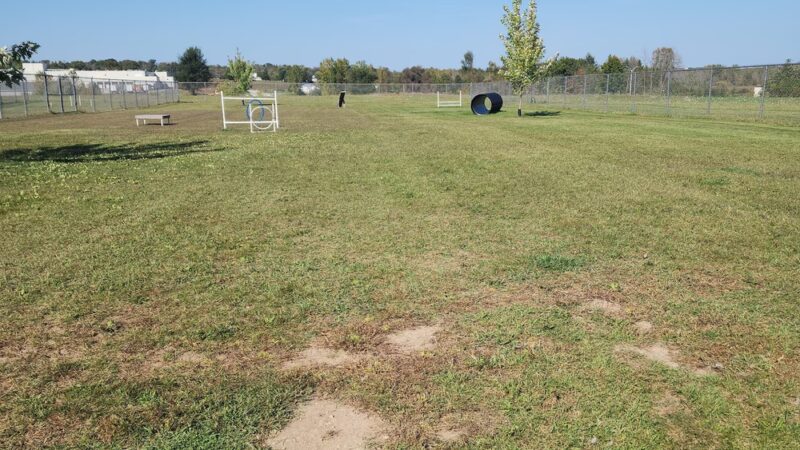 Thielman Bark Park - Kiel, WI