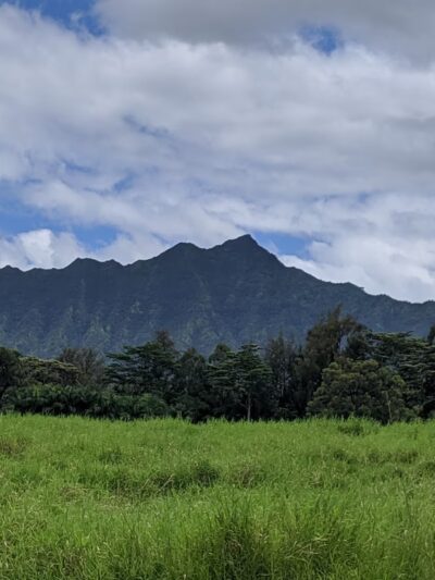 Kauai North Shore Dog Park - Kilauea, HI