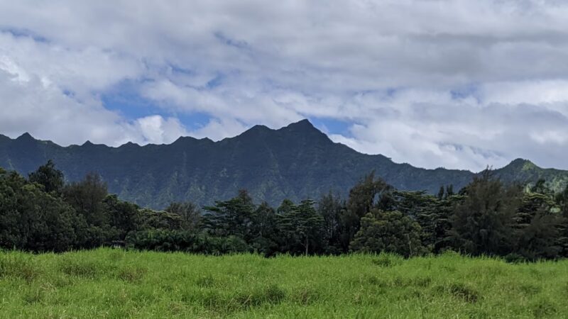 Kauai North Shore Dog Park - Kilauea, HI