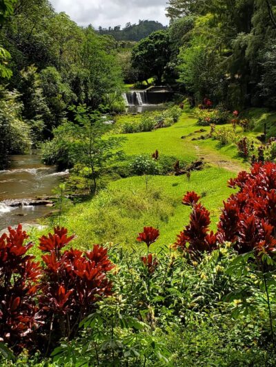 Kauai North Shore Dog Park - Kilauea, HI