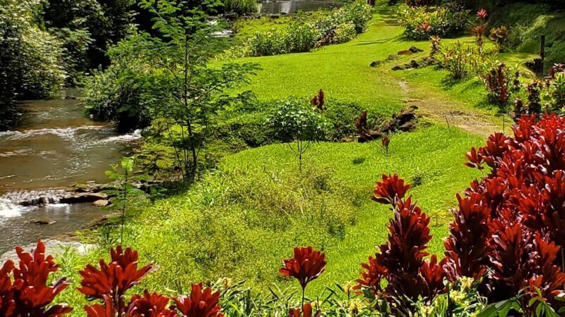 Kauai North Shore Dog Park - Kilauea, HI