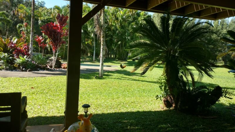 Kauai North Shore Dog Park - Kilauea, HI