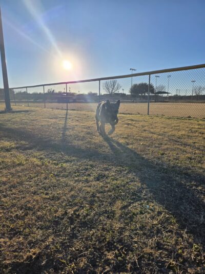 Andy K. Wells Hike And Bike Trail - Killeen, TX