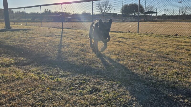 Andy K. Wells Hike And Bike Trail - Killeen, TX