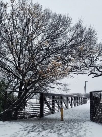 Andy K. Wells Hike And Bike Trail - Killeen, TX